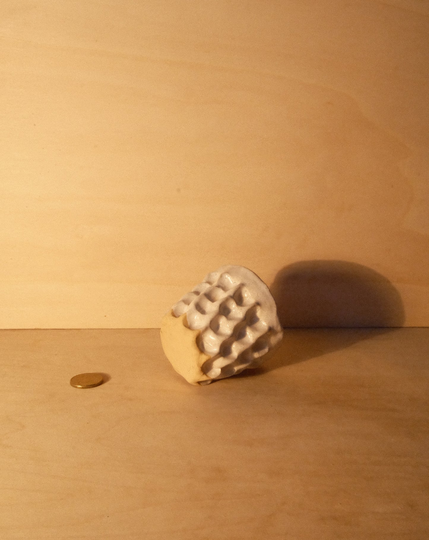 WHITE MOREL CUP 012