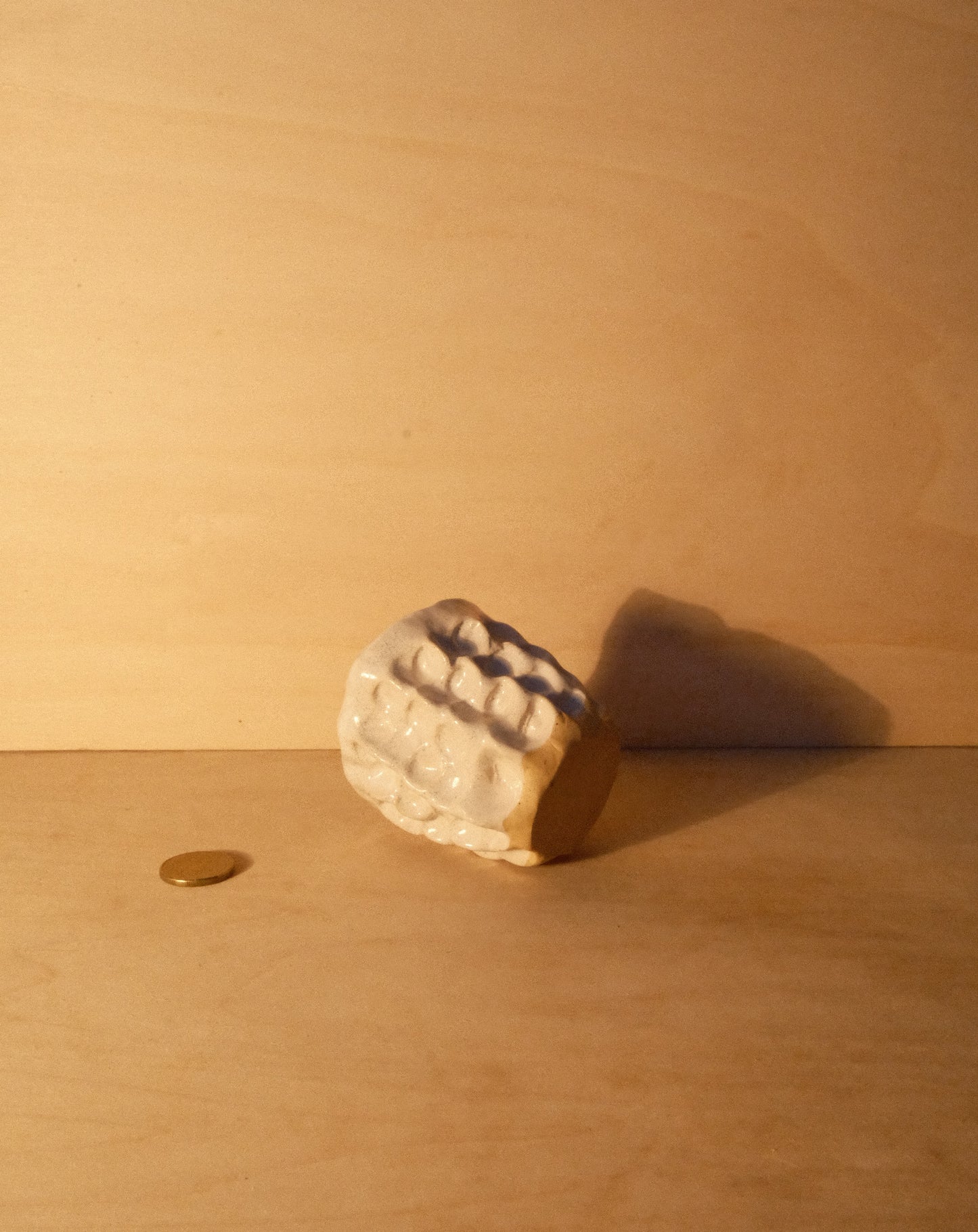 WHITE MOREL CUP 012