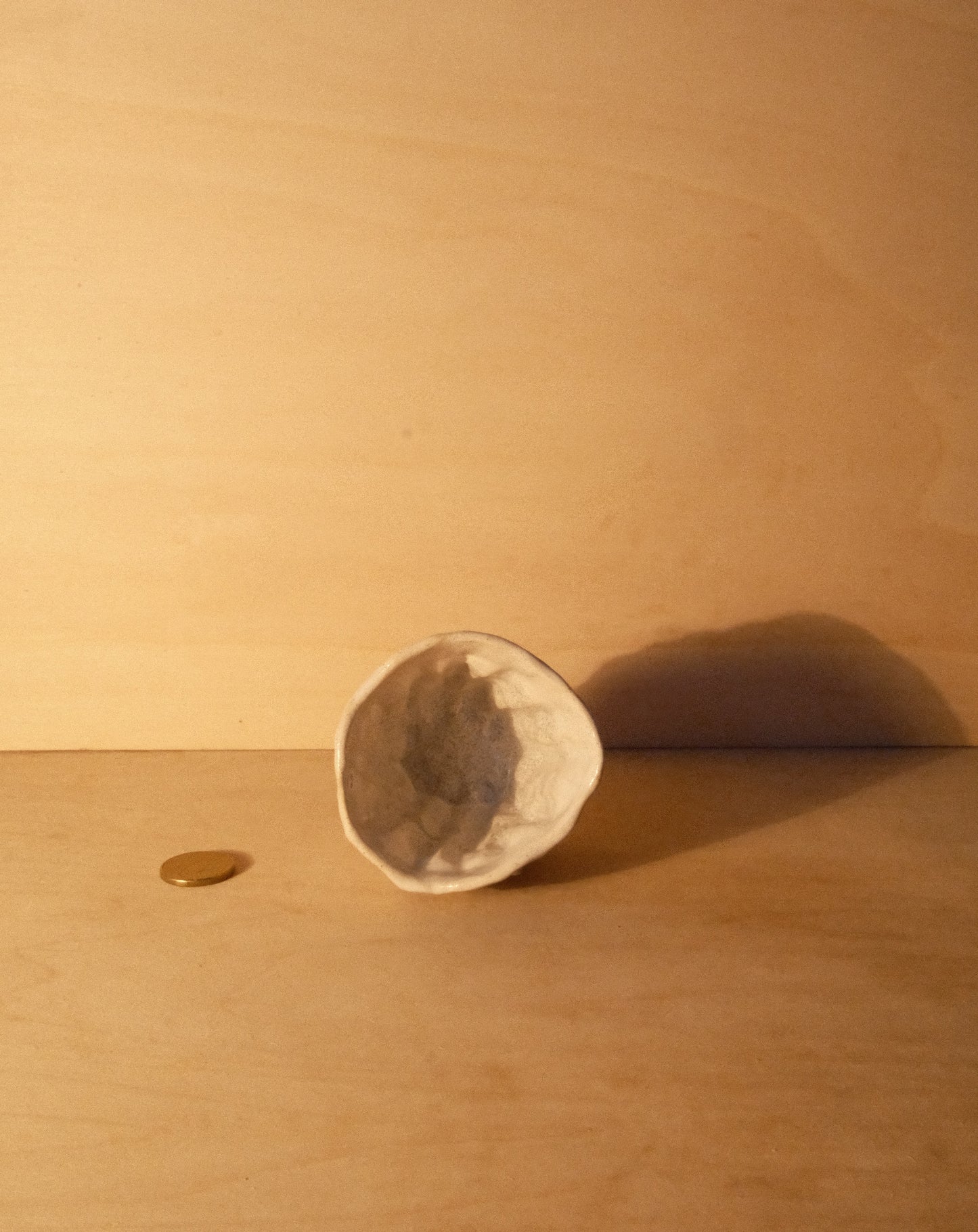 WHITE MOREL CUP 012