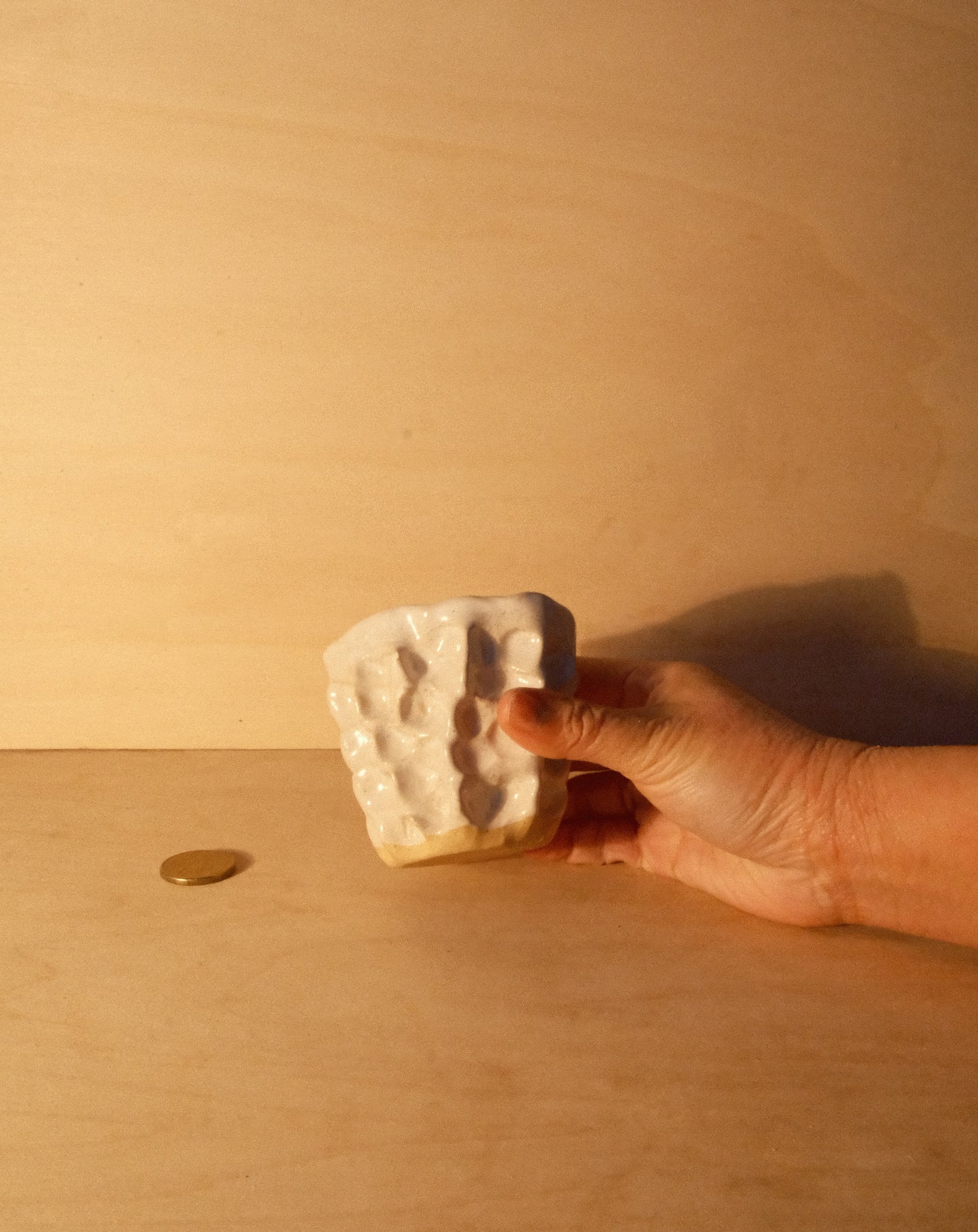 WHITE MOREL CUP 012