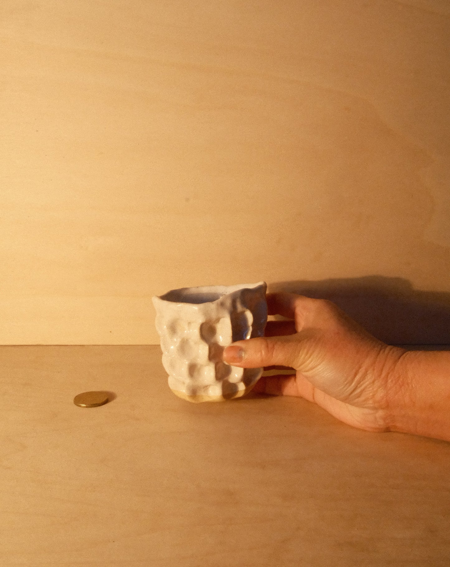 WHITE MOREL CUP 012