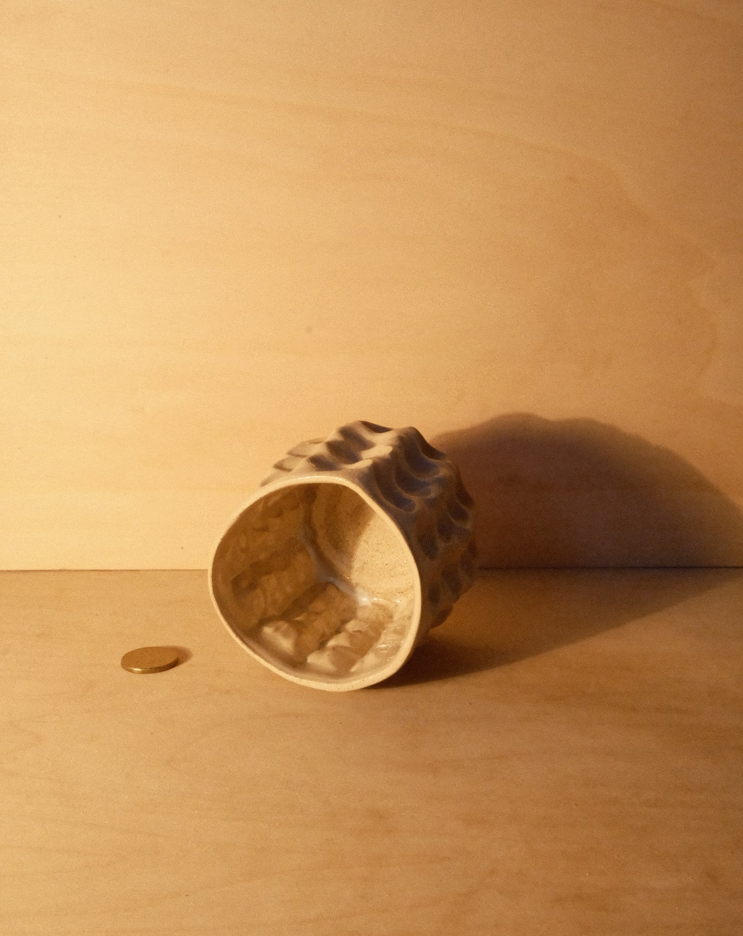 DUSK MOREL CUP 010