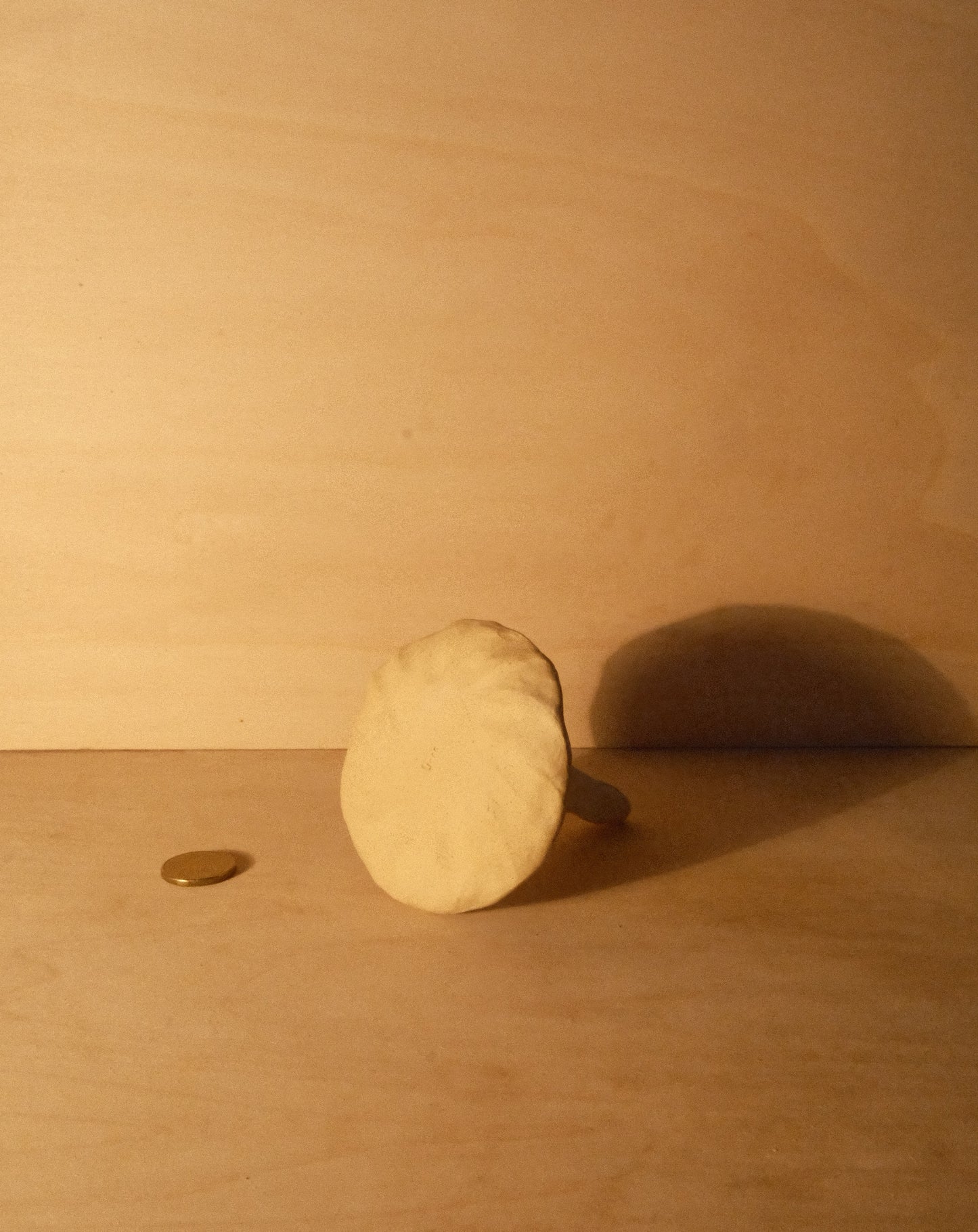 WHITE SHROOM RING DISH 002