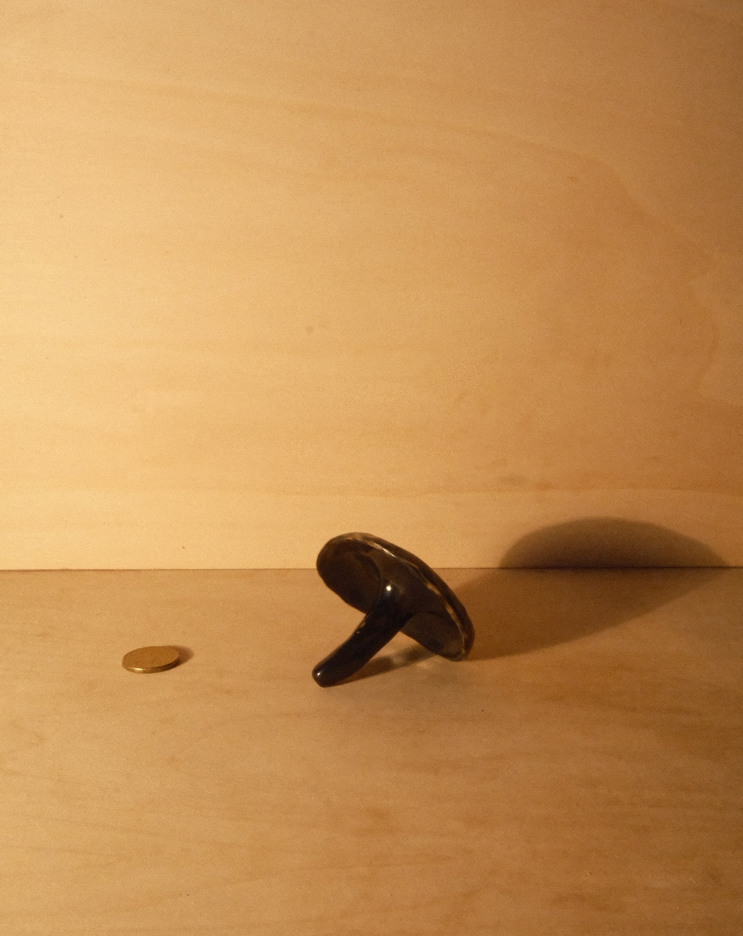 BLACK SHROOM RING DISH 001