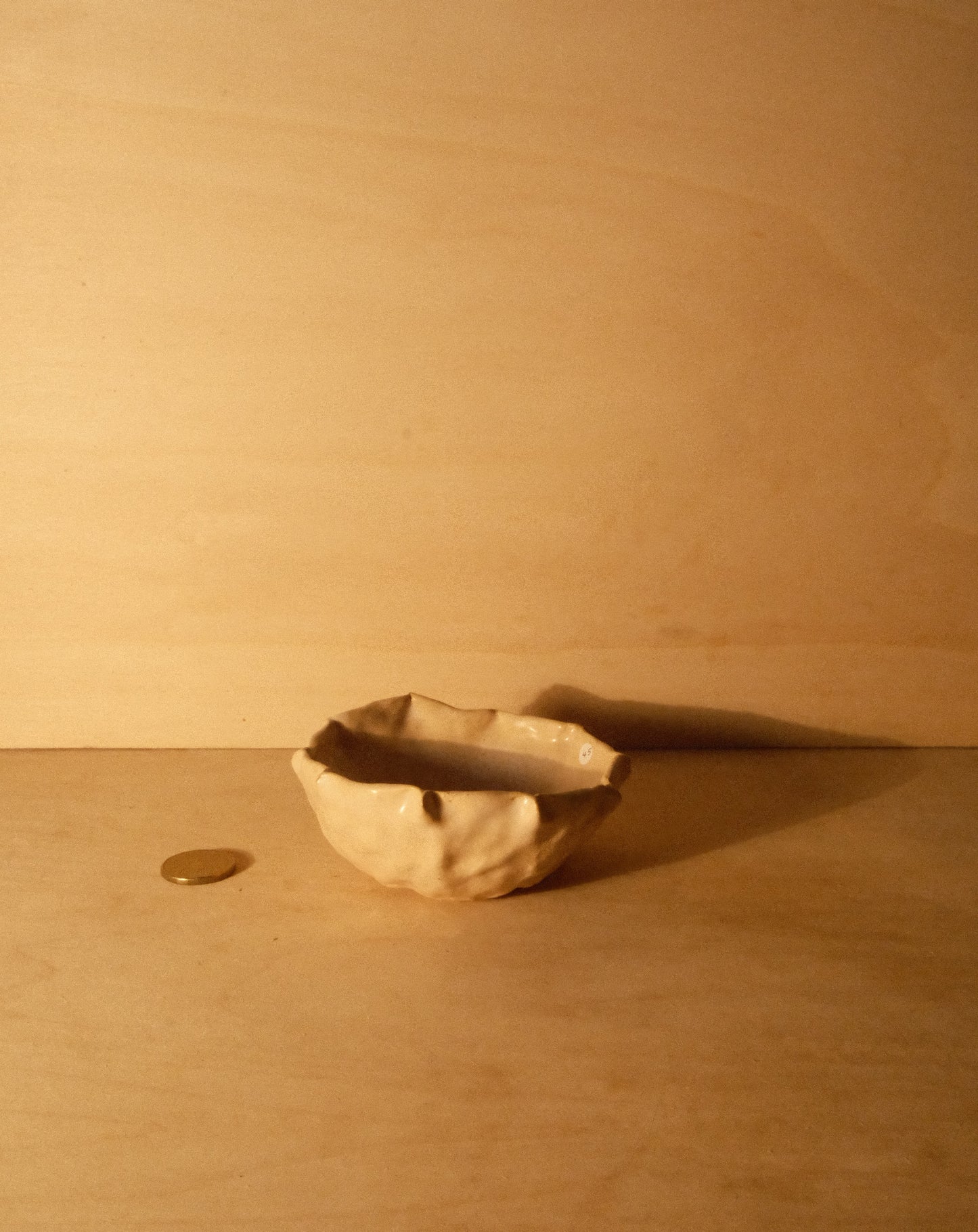 DUSK SHROOM BOWL 002