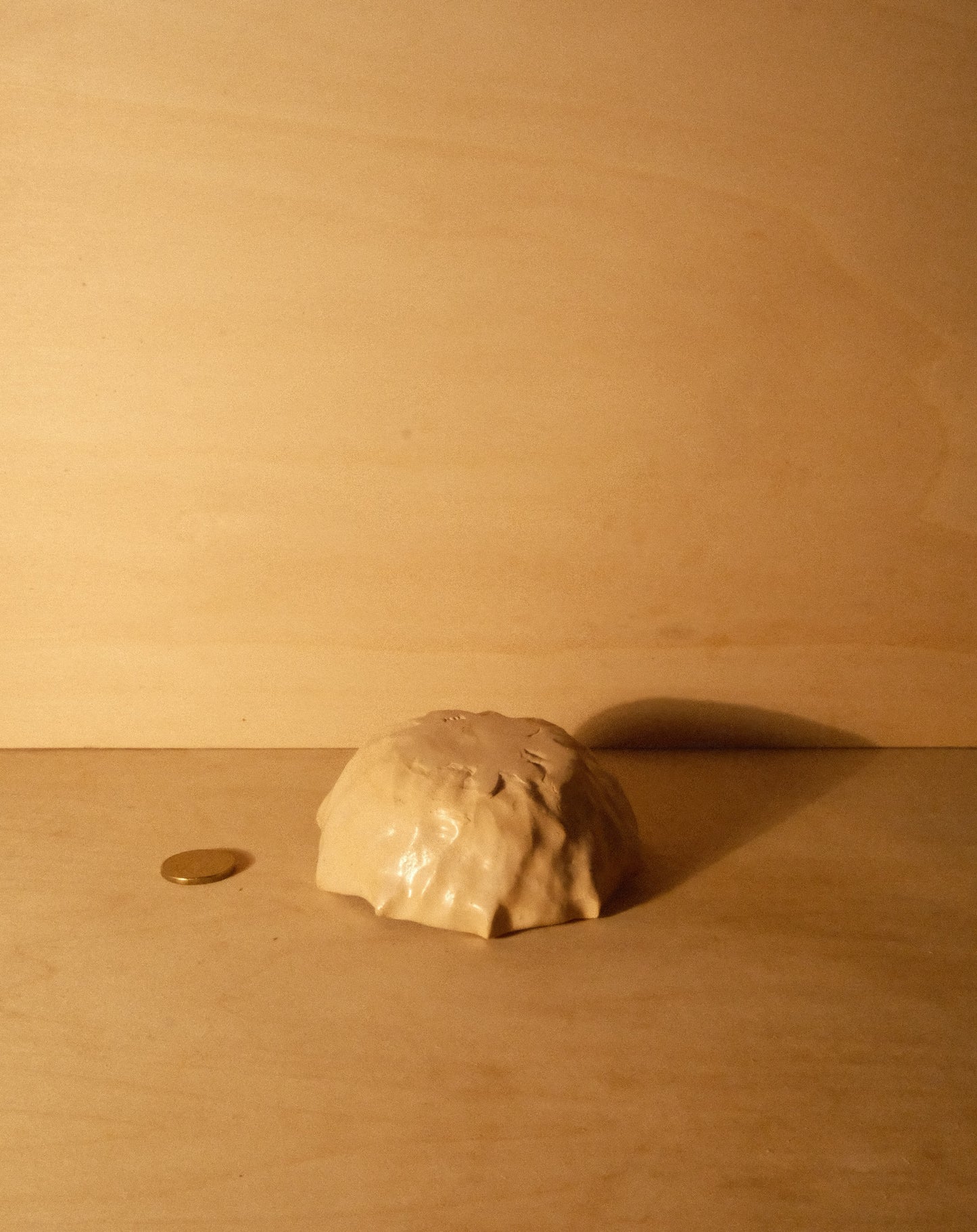 DUSK SHROOM BOWL 002