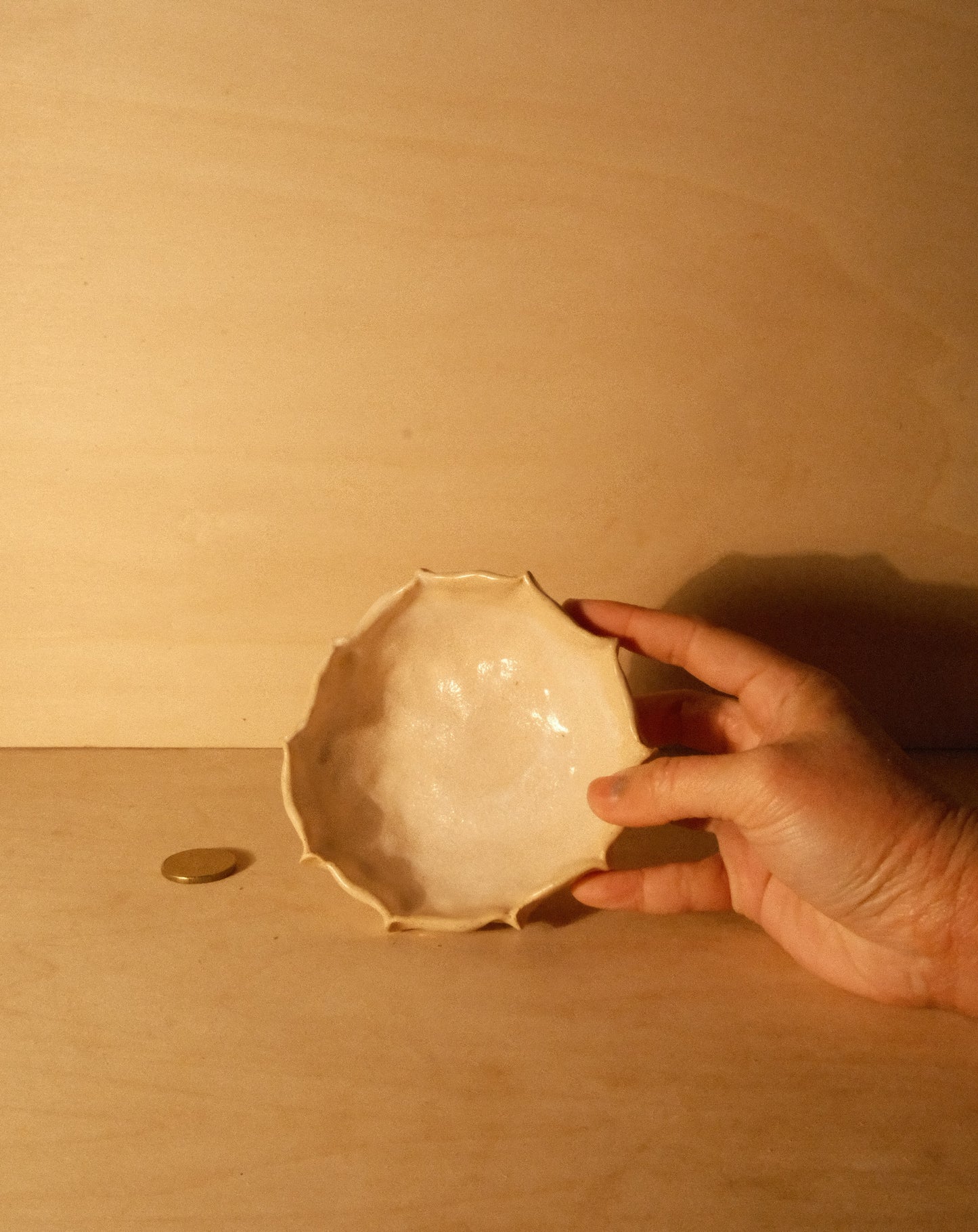 DUSK SHROOM BOWL 002