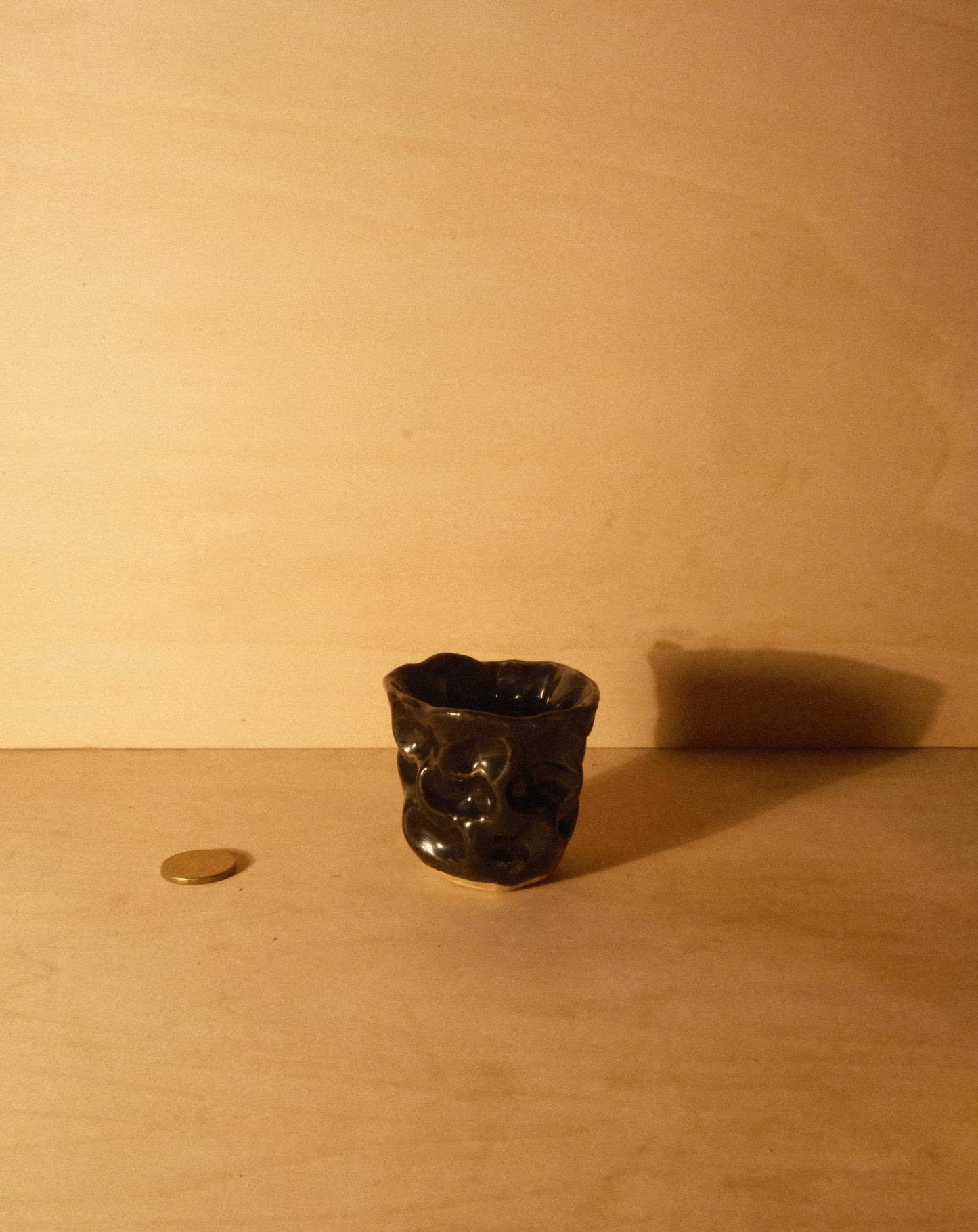 BLACK MOREL CUP 009