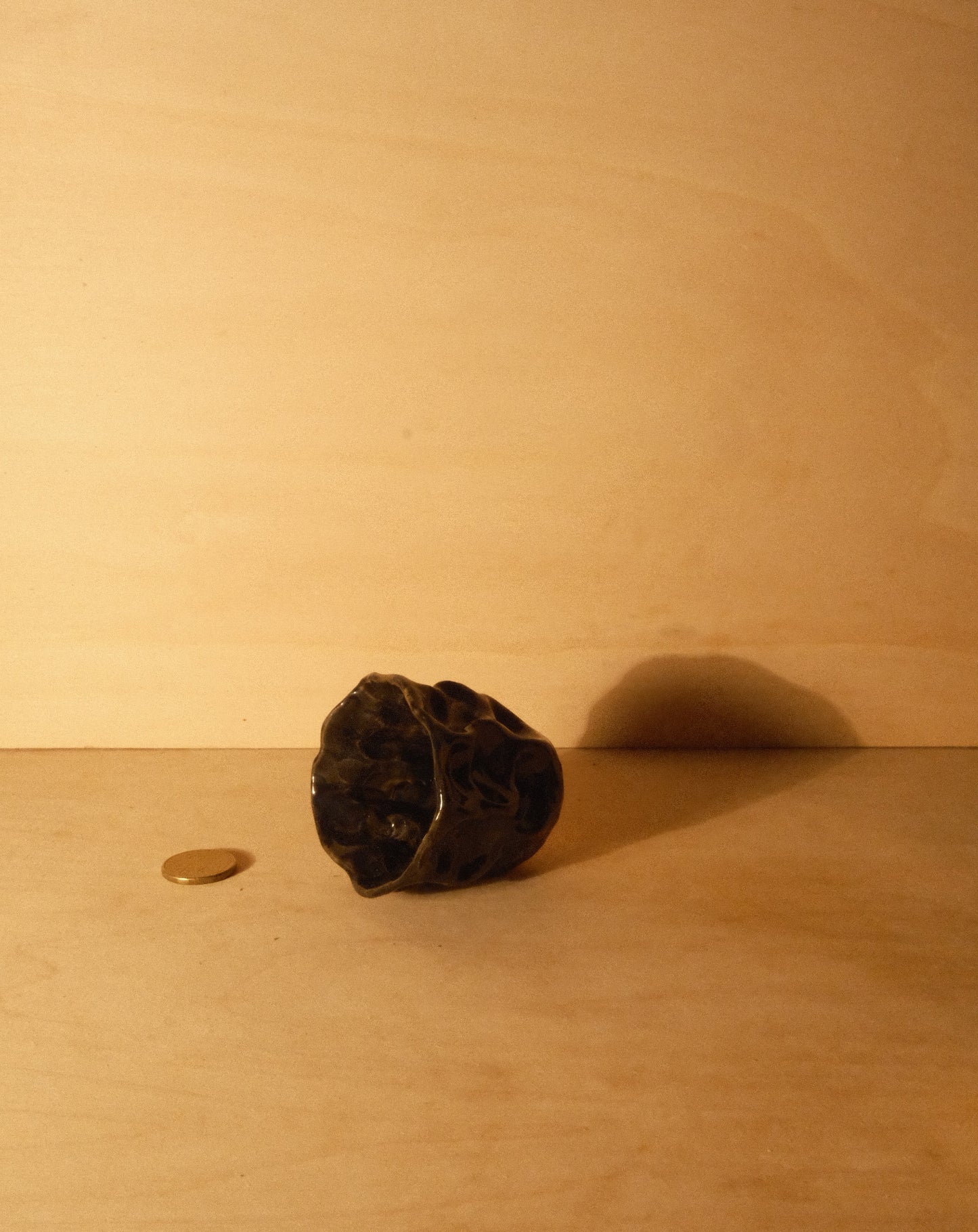 BLACK MOREL CUP 009