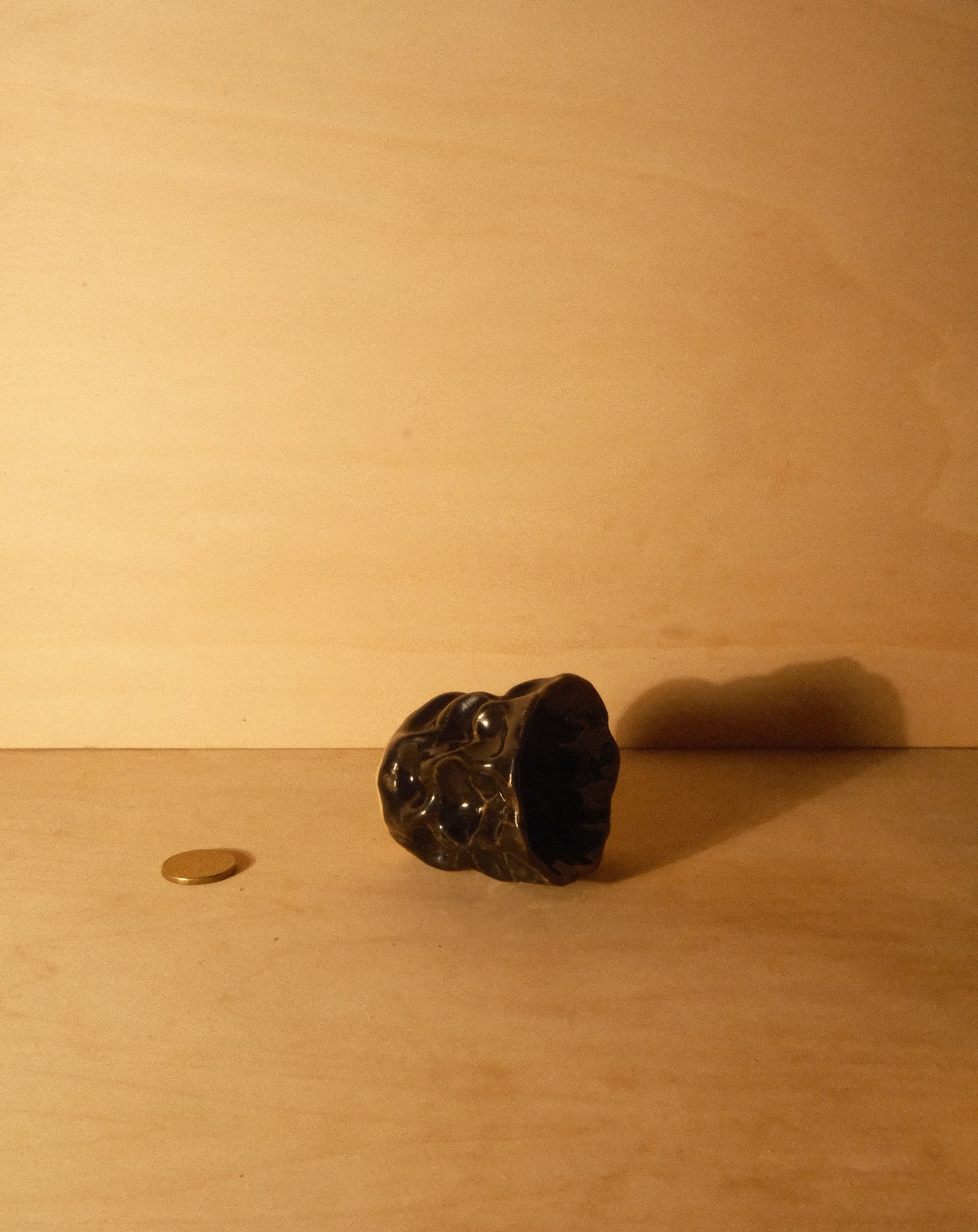 BLACK MOREL CUP 009