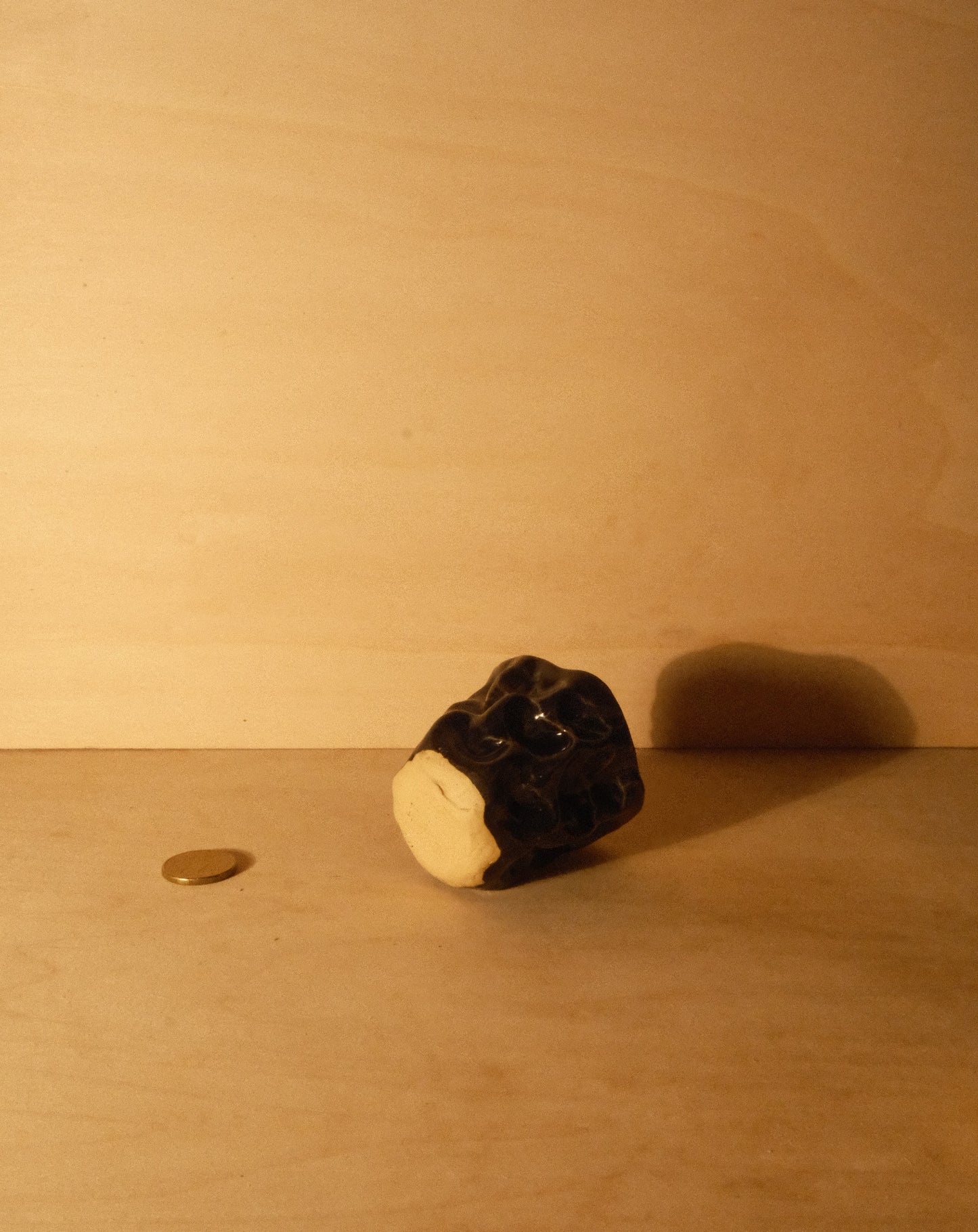 BLACK MOREL CUP 009