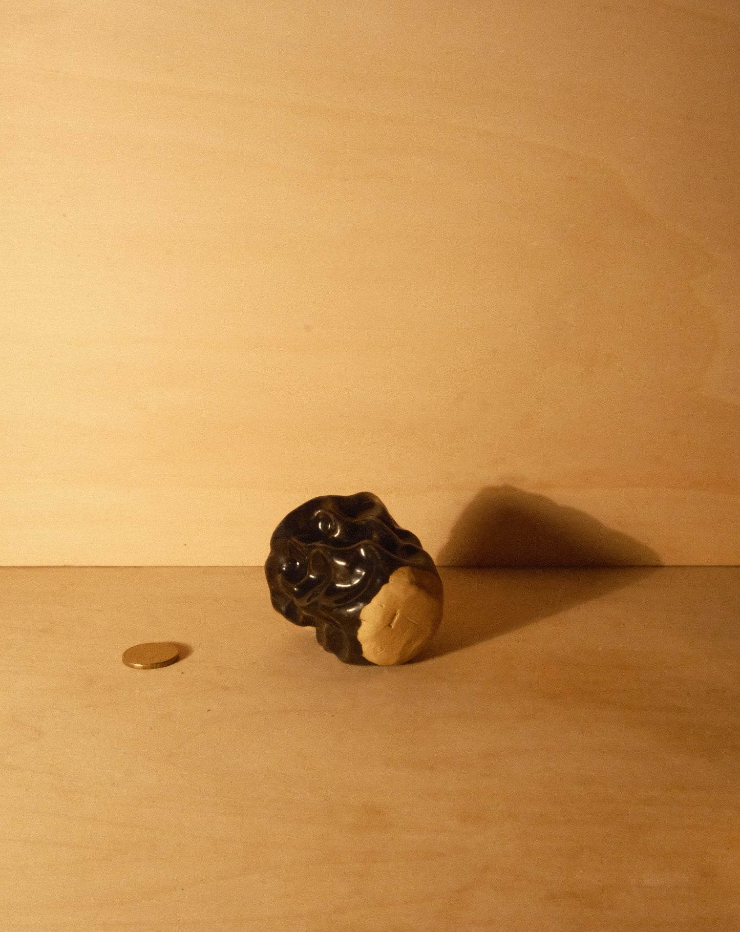 BLACK MOREL CUP 009