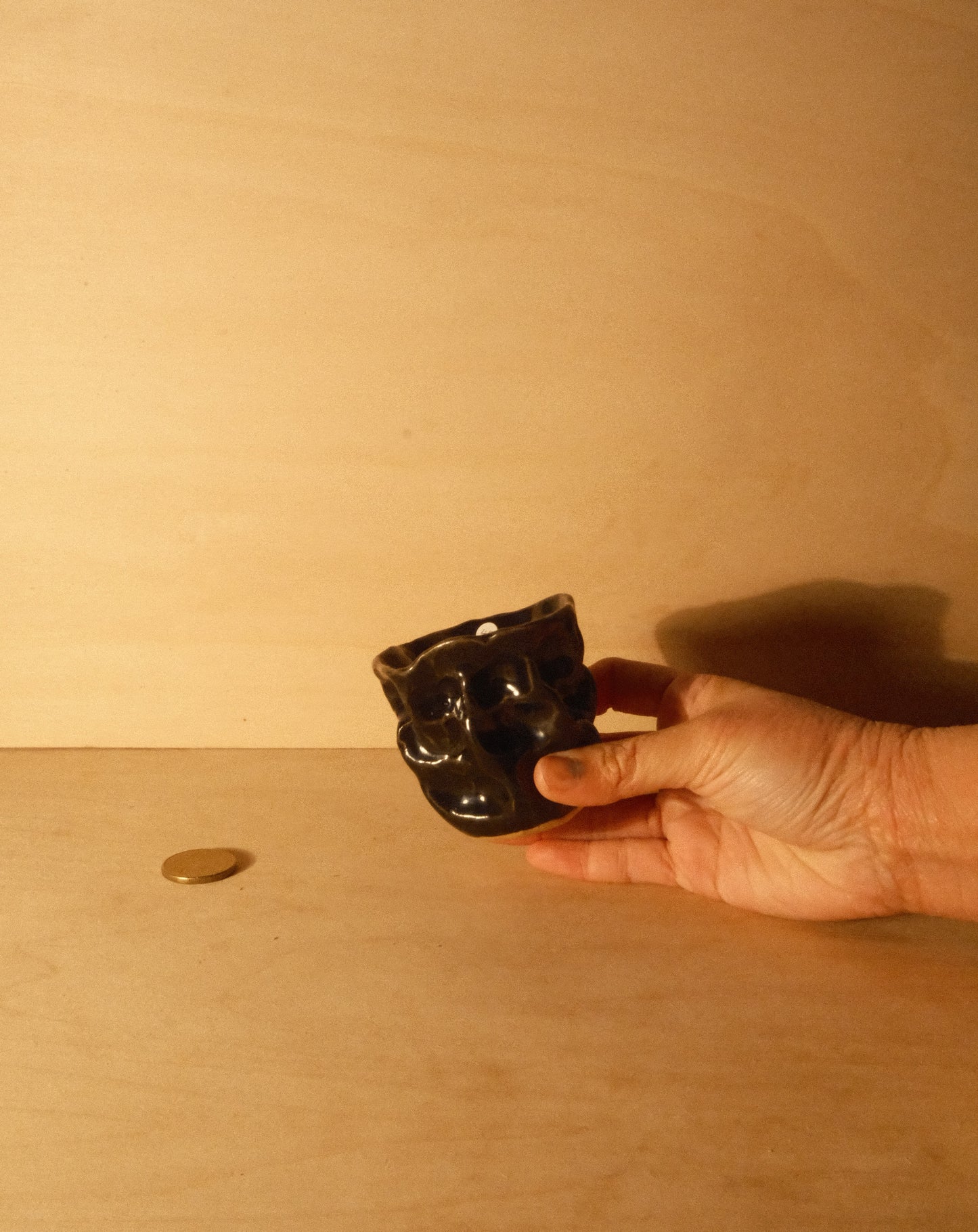 BLACK MOREL CUP 009