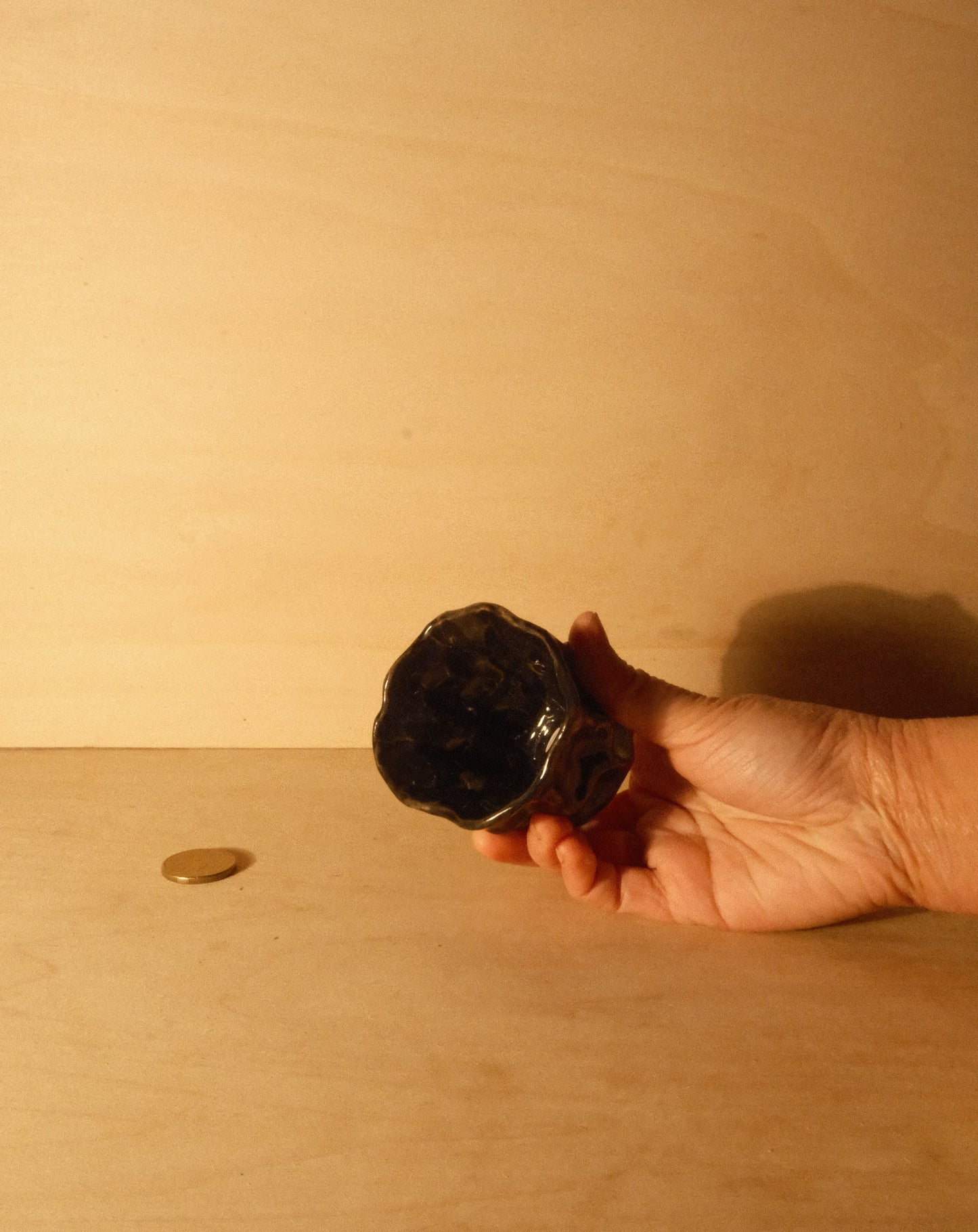 BLACK MOREL CUP 009