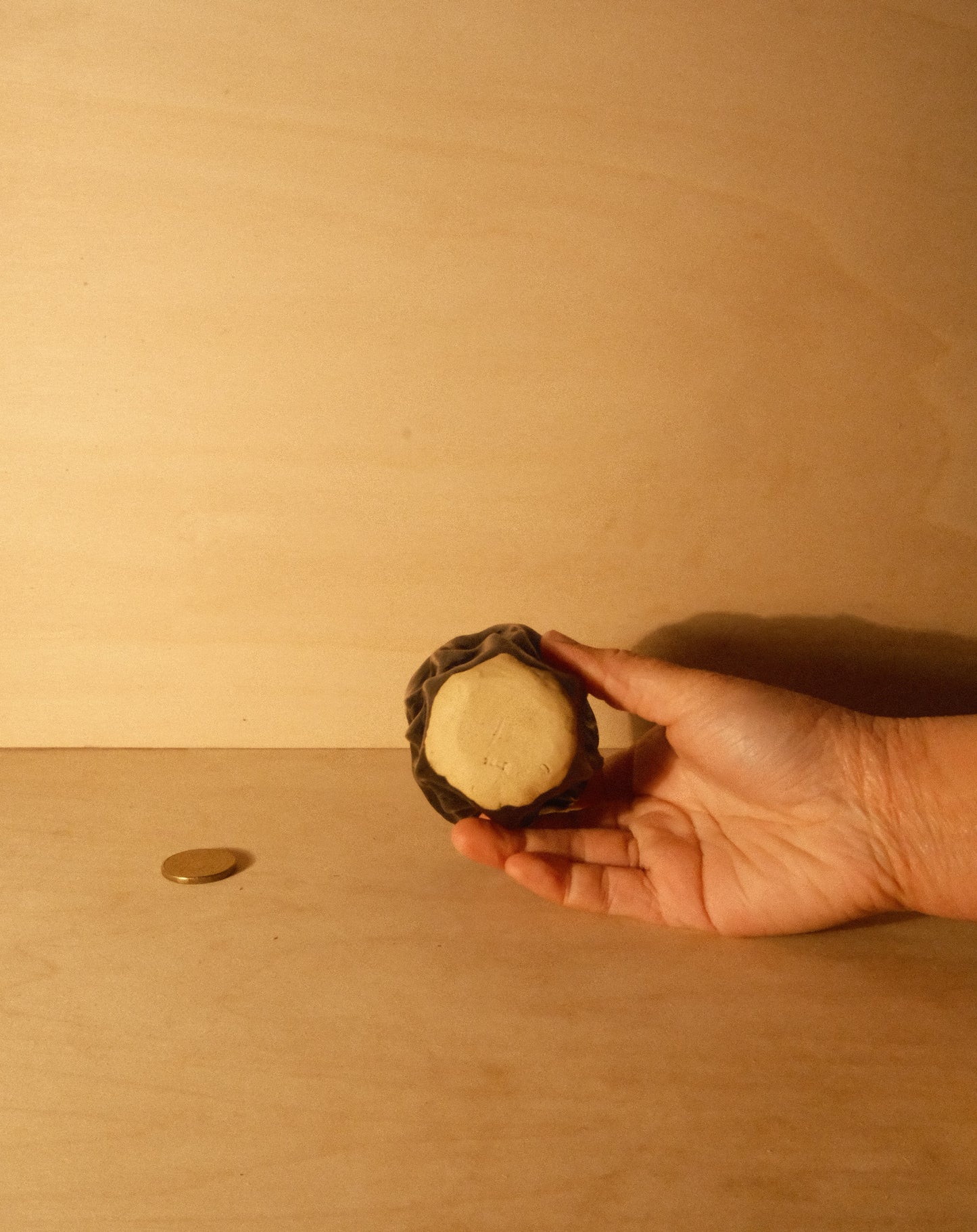 BLACK MOREL CUP 009