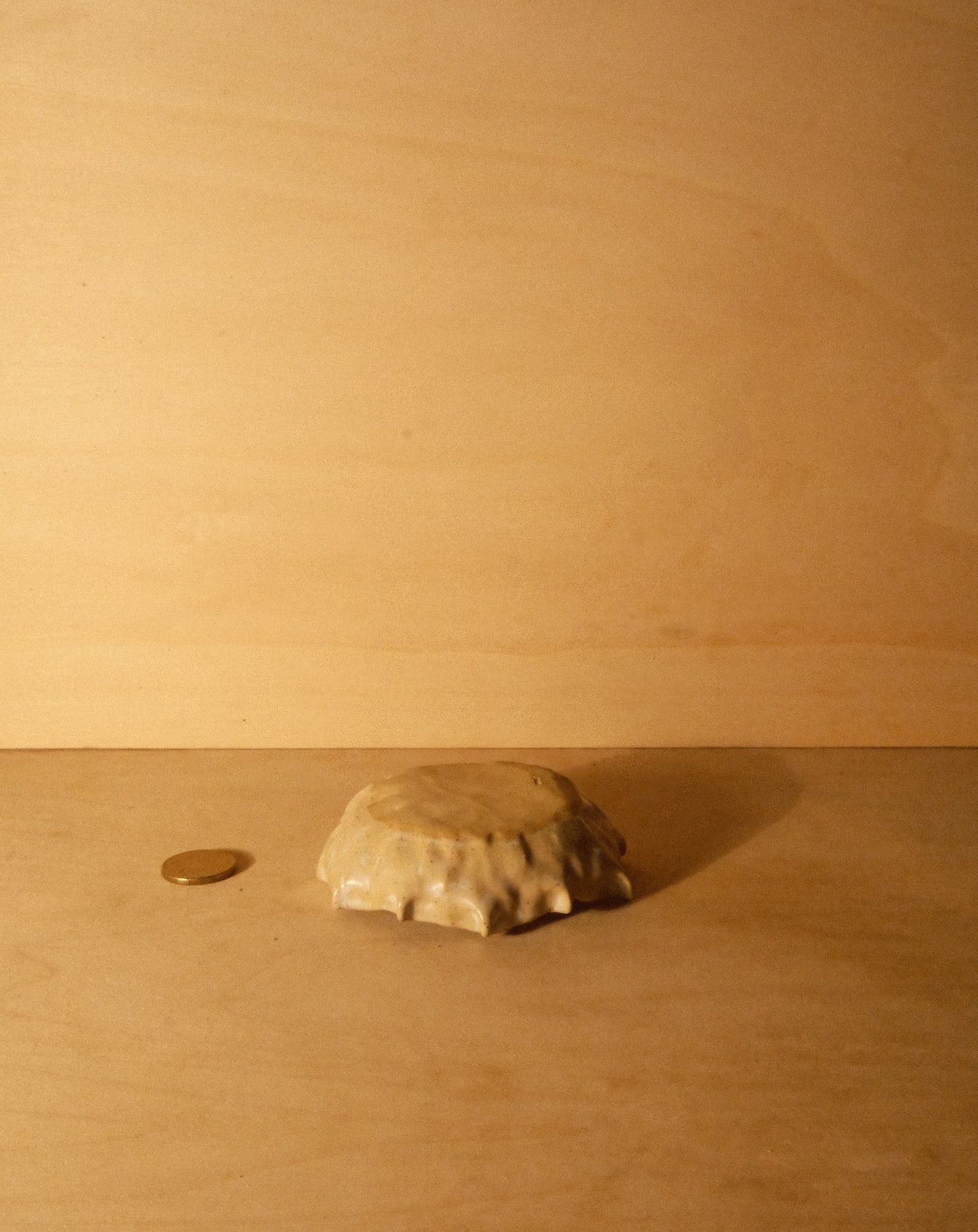 DUSK SHROOM BOWL 003