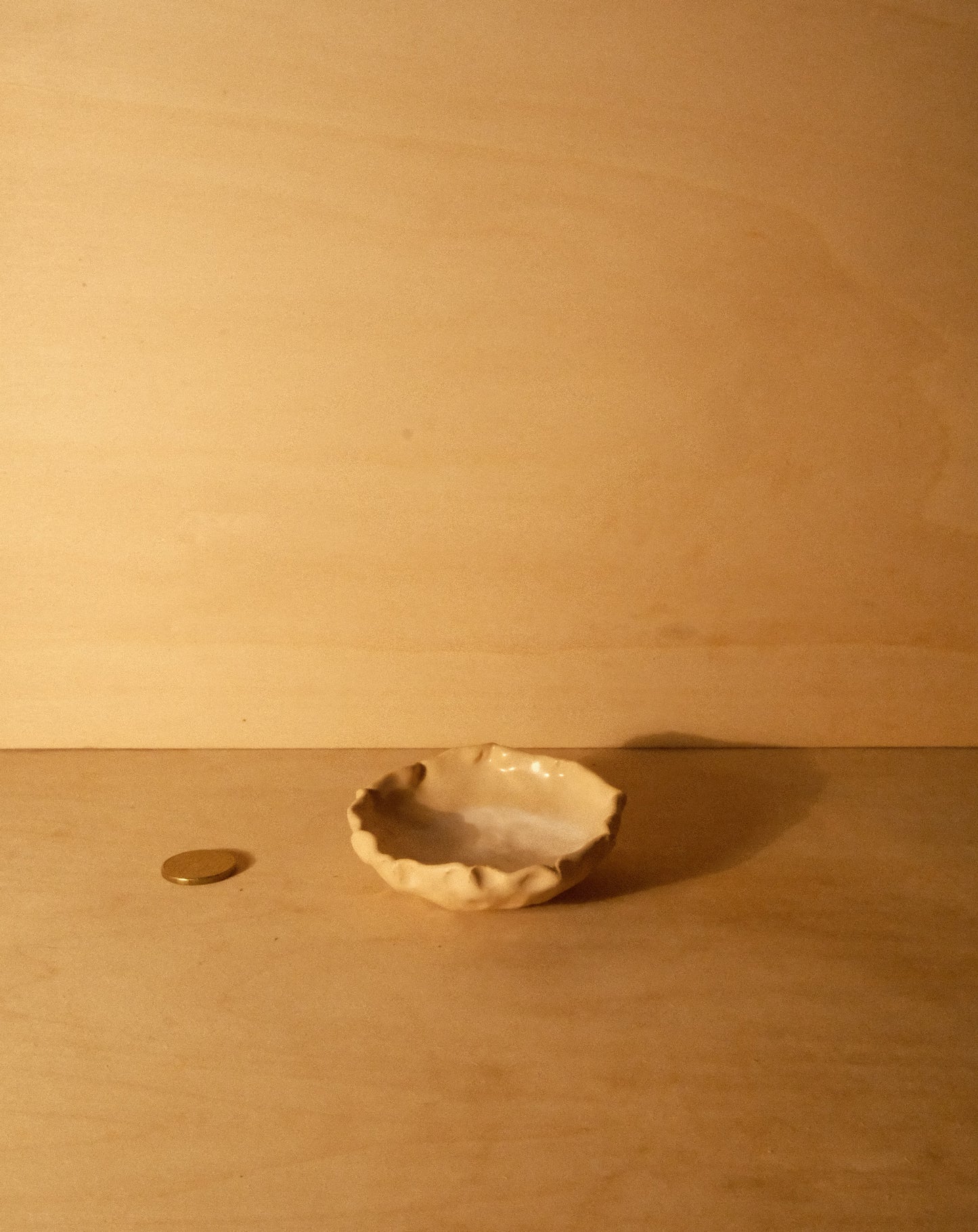 DUSK SHROOM BOWL 004