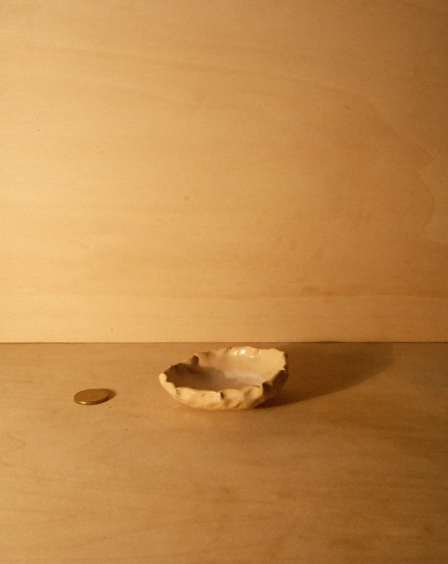 DUSK SHROOM BOWL 004