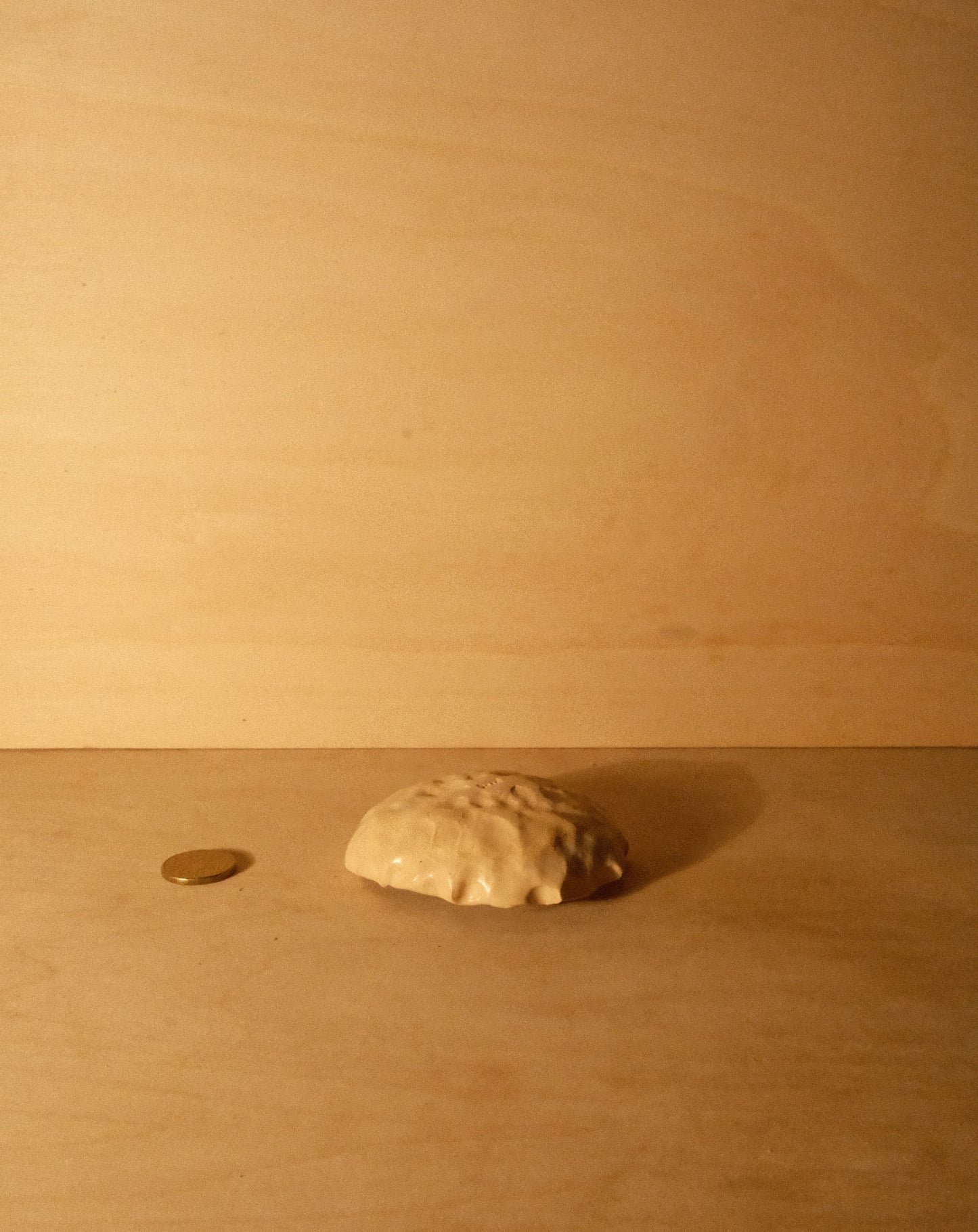 DUSK SHROOM BOWL 004