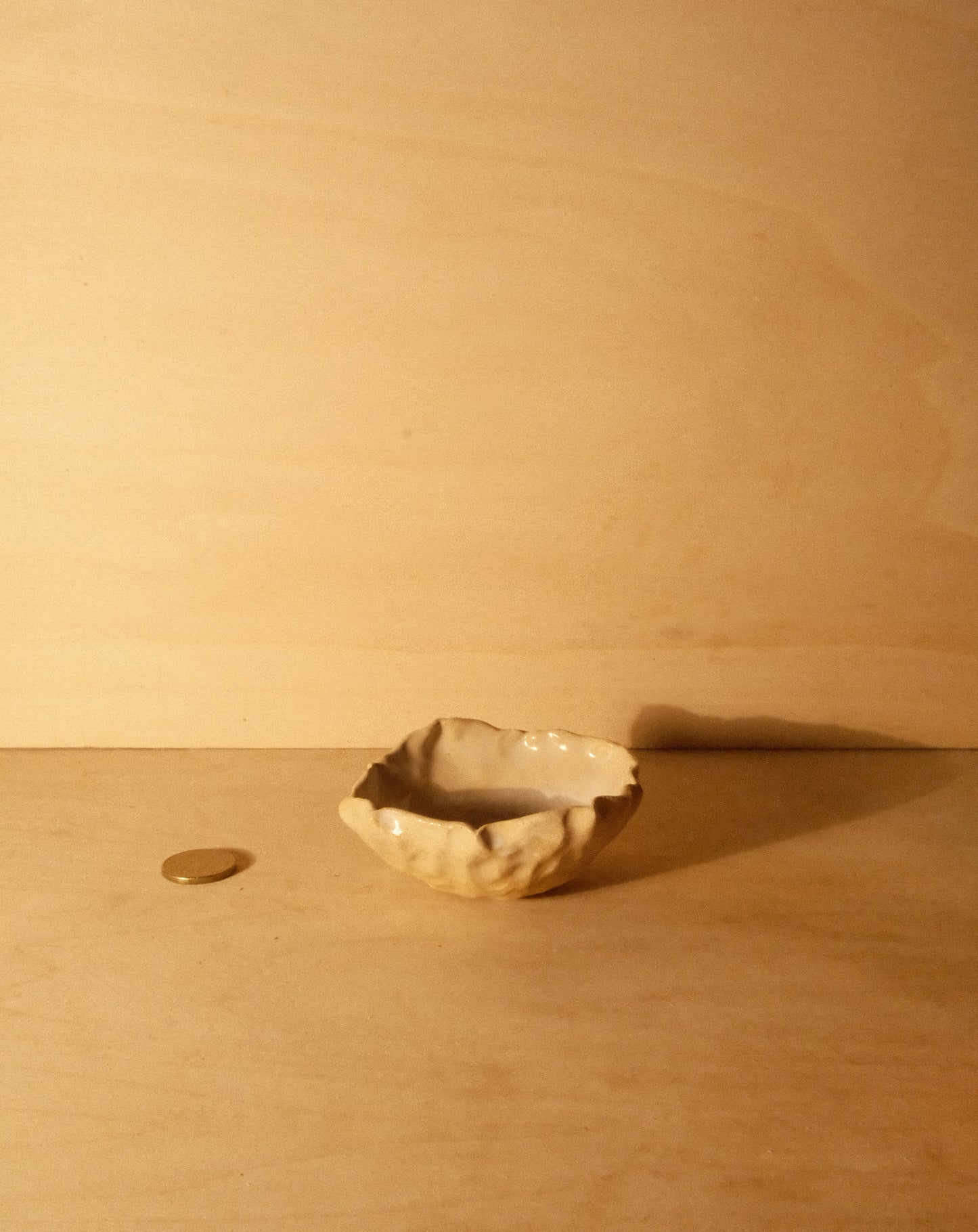 DUSK SHROOM BOWL 005