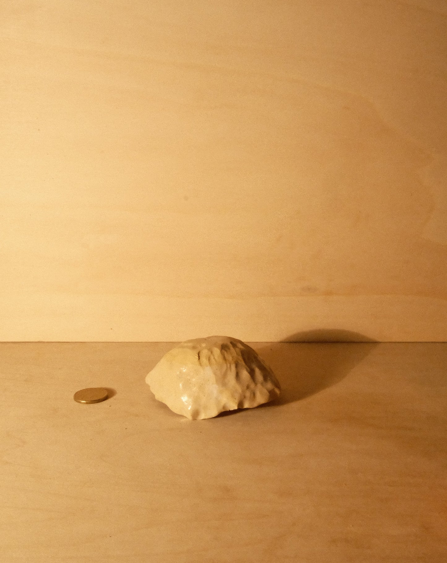 DUSK SHROOM BOWL 005