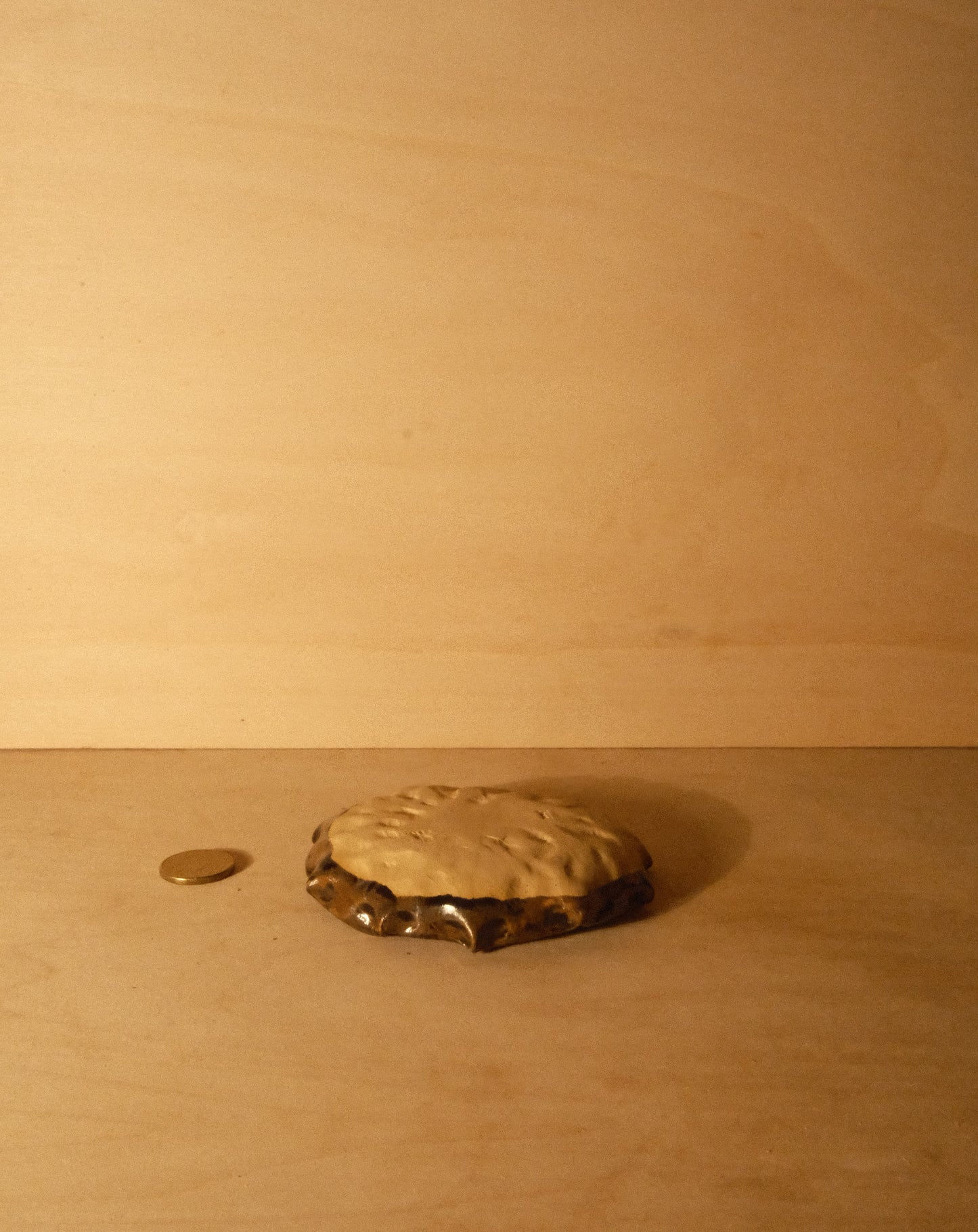 BROWN SHROOM PLATE 001