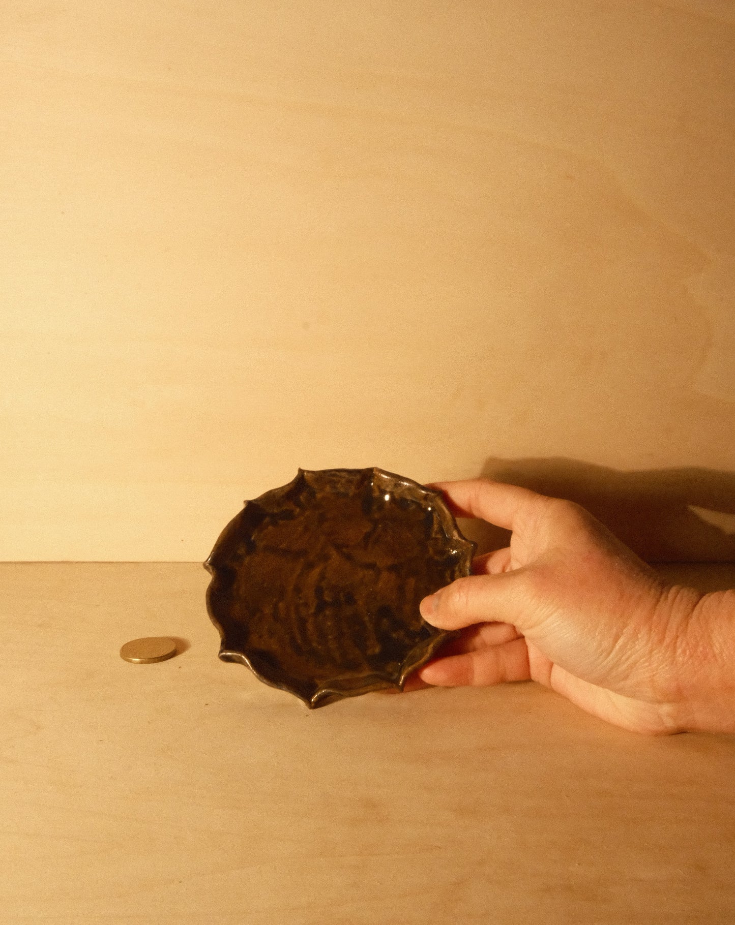 BROWN SHROOM PLATE 001