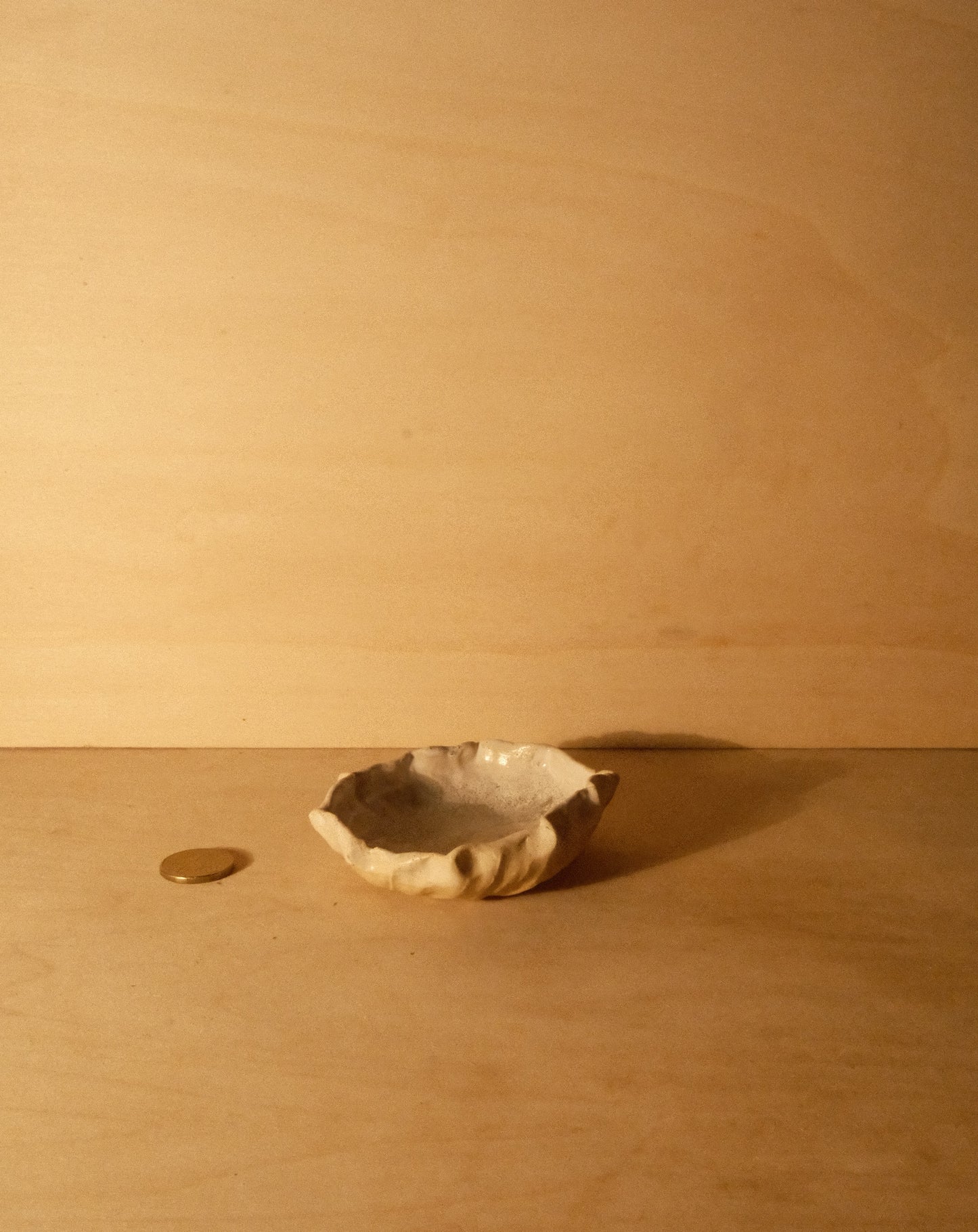 WHITE SHROOM DISH 002