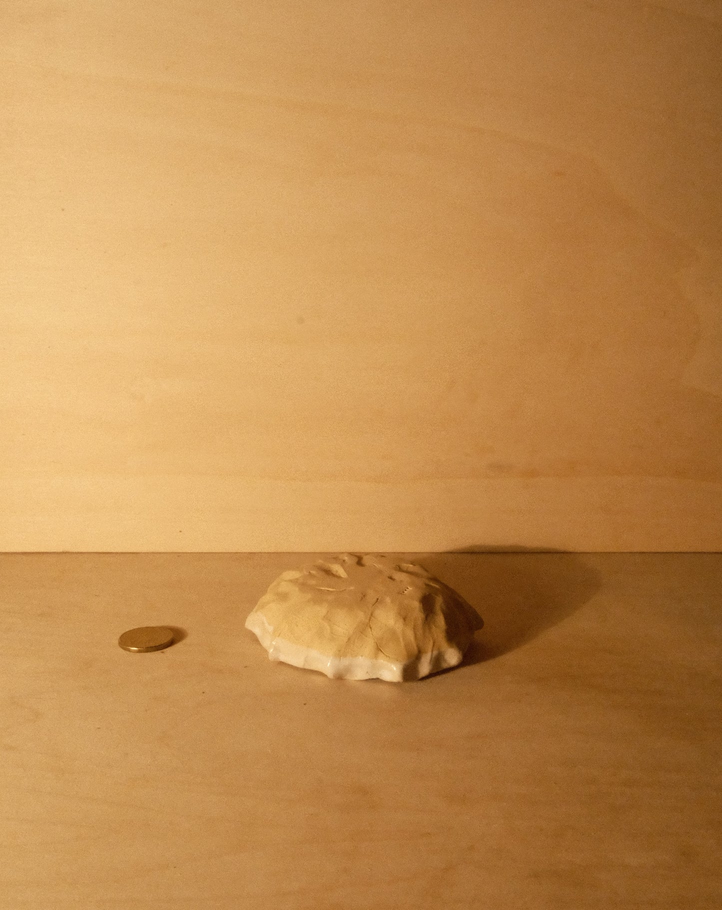 WHITE SHROOM DISH 002