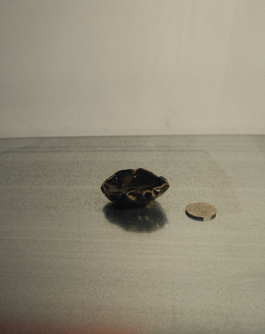 BLACK SHROOM TRINKET DISH 003