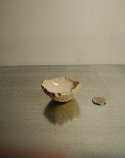 DUSK SHROOM BOWL 005