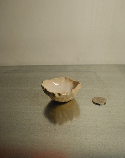 DUSK SHROOM BOWL 005