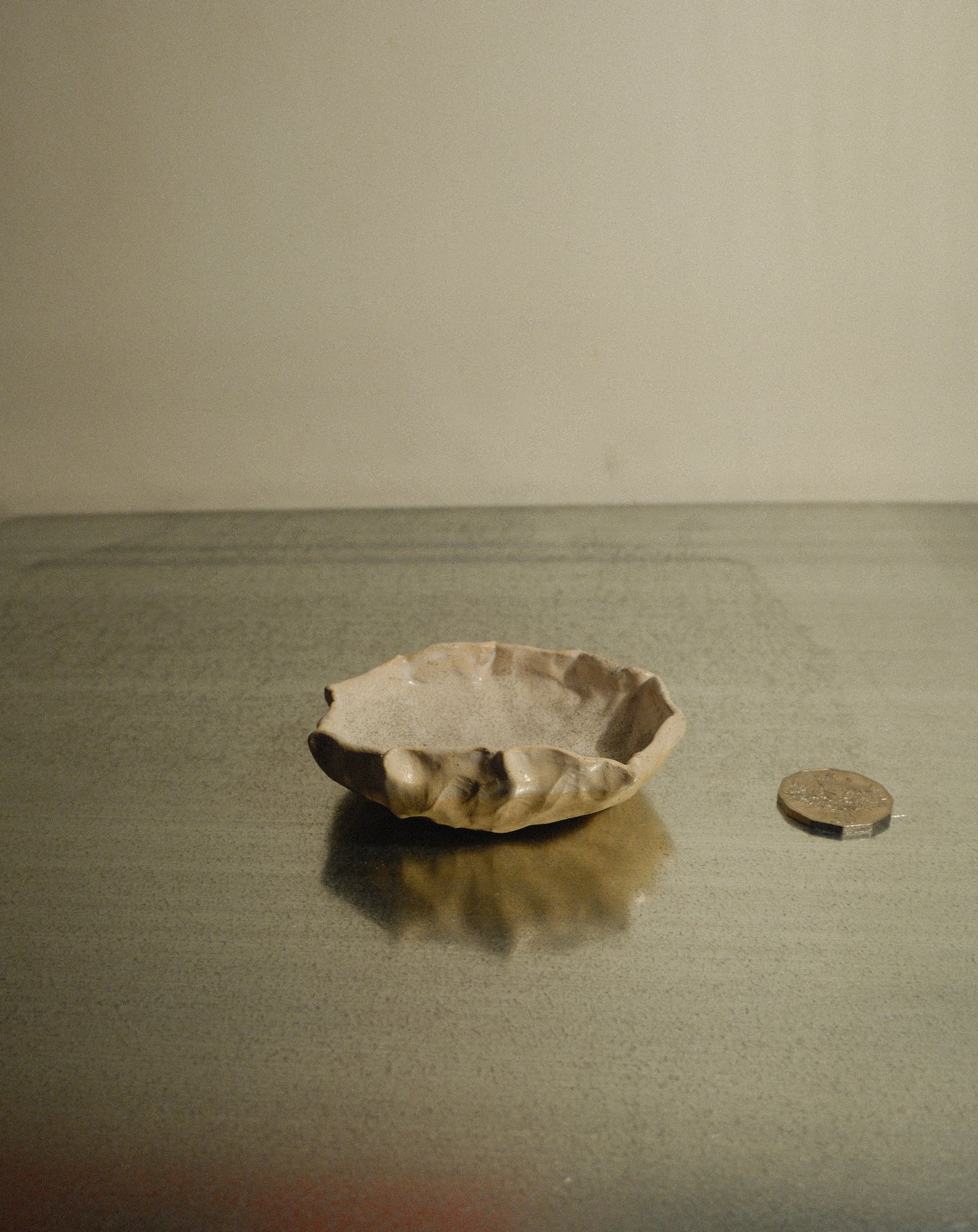 DUSK SHROOM BOWL 003