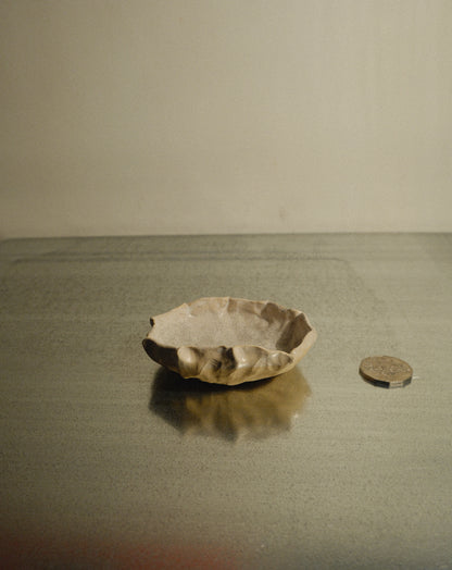 DUSK SHROOM BOWL 003