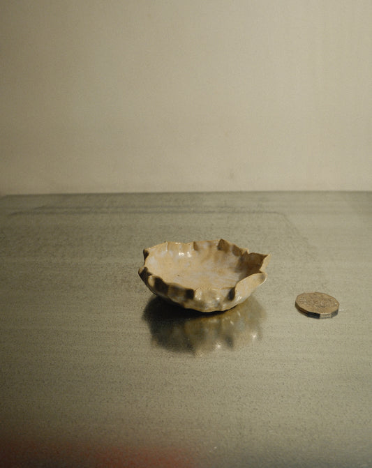 DUSK SHROOM BOWL 005