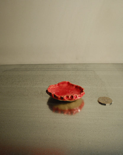 RED SHROOM DISH 004