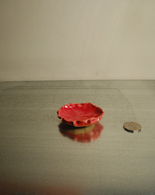 RED SHROOM DISH 004