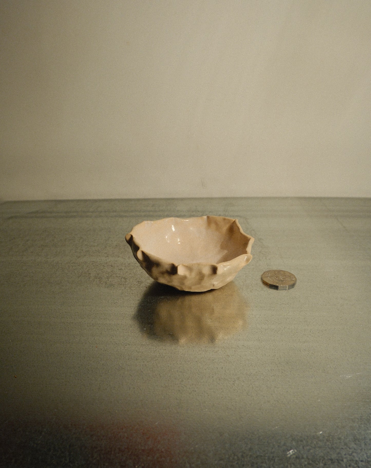 DUSK SHROOM BOWL 006