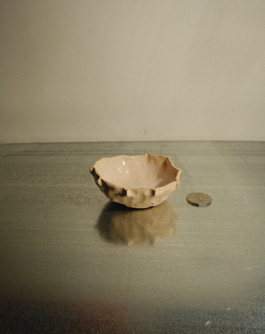 DUSK SHROOM BOWL 006