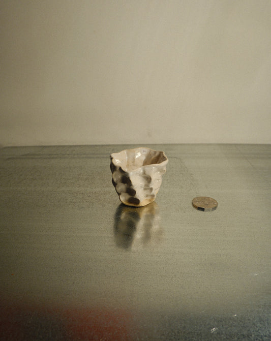 WHITE MOREL CUP 014