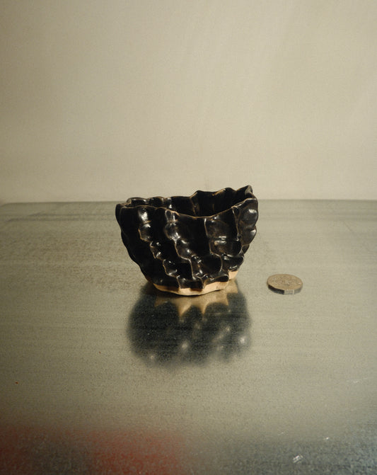 BLACK MOREL BOWL 001
