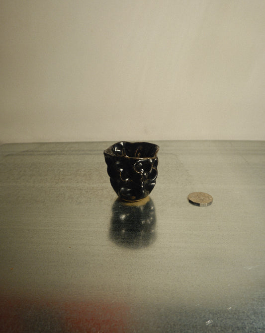 BLACK MOREL CUP 009