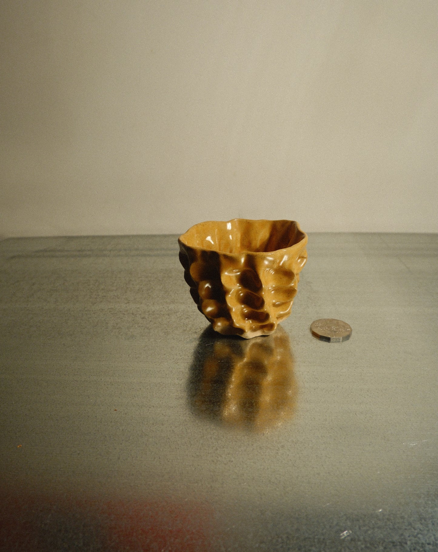 HONEY MOREL CUP 005