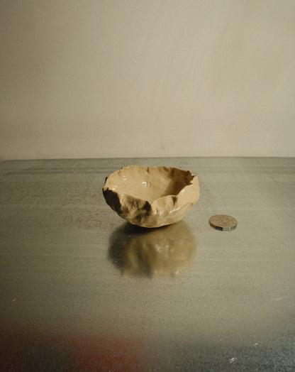 DUSK SHROOM BOWL 001