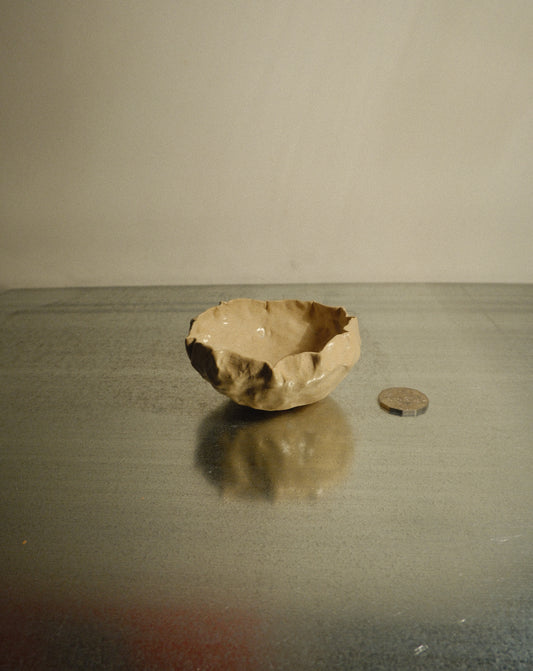 DUSK SHROOM BOWL 001