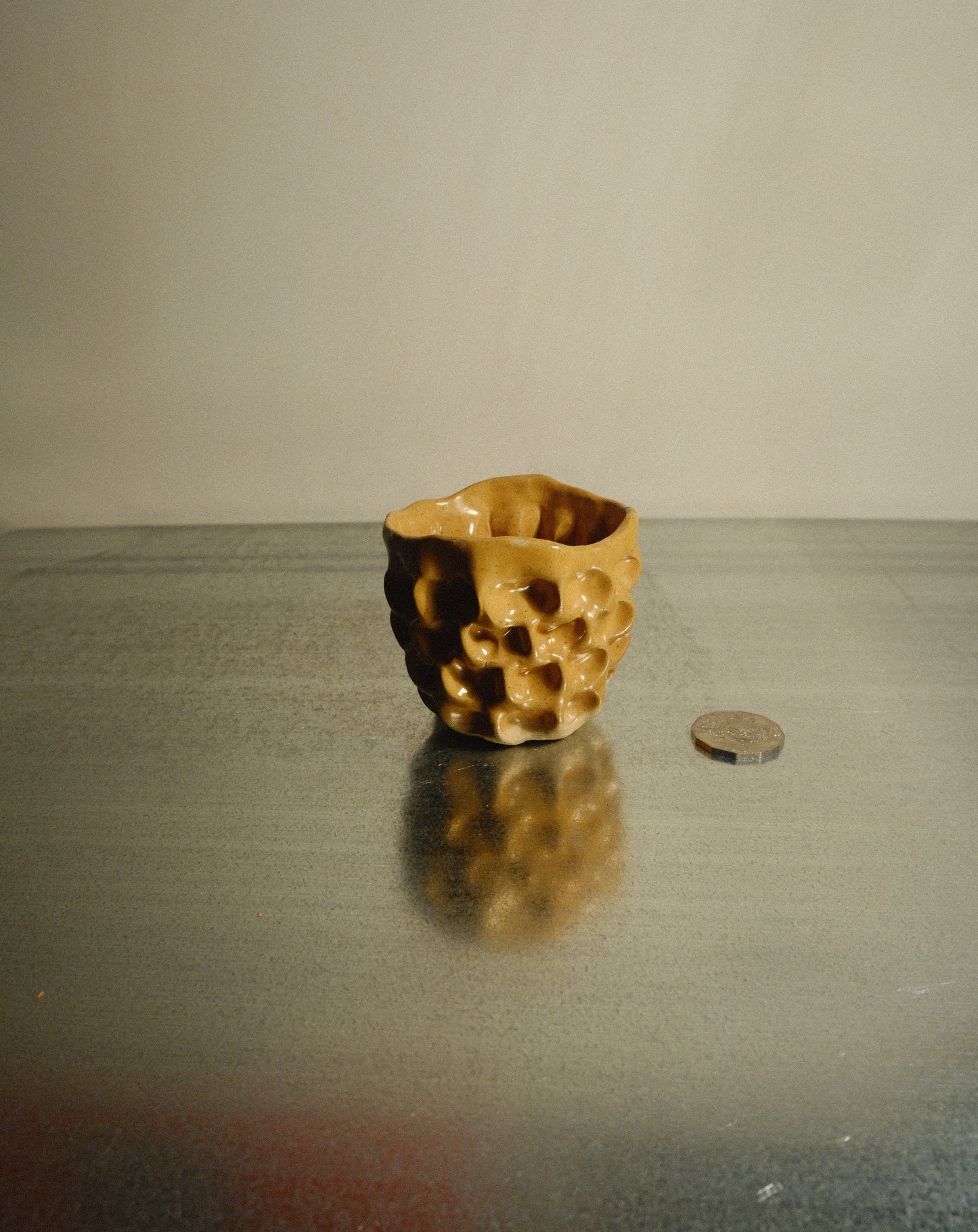 HONEY MOREL CUP 001