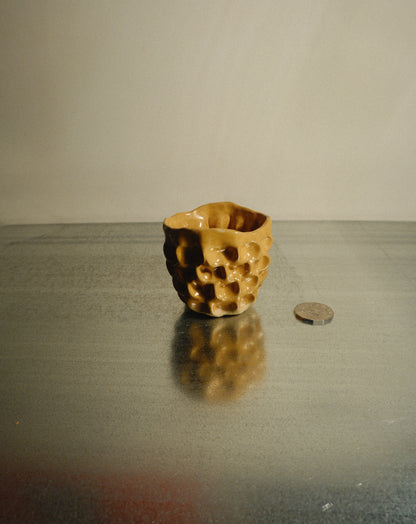HONEY MOREL CUP 001