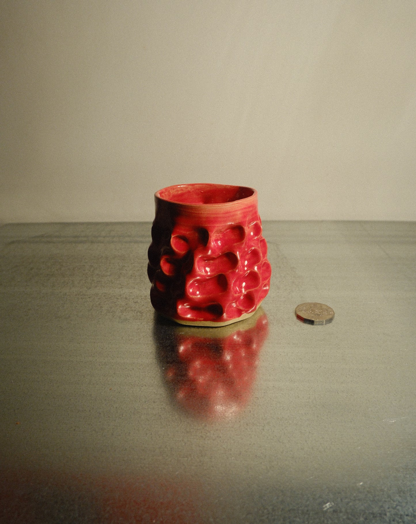 RED MOREL CUP 004