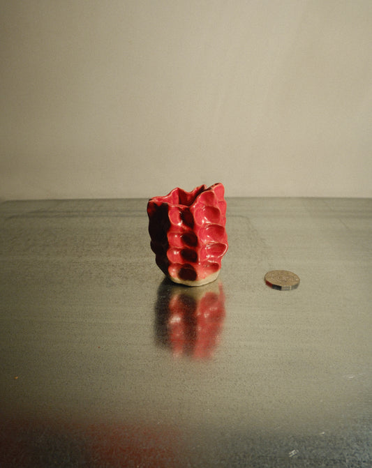 RED MOREL VASE 005