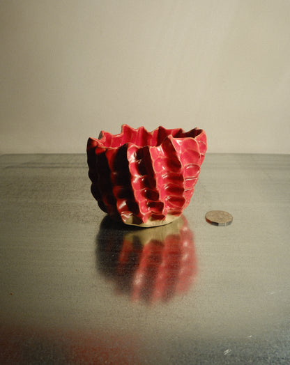RED MOREL BOWL 001